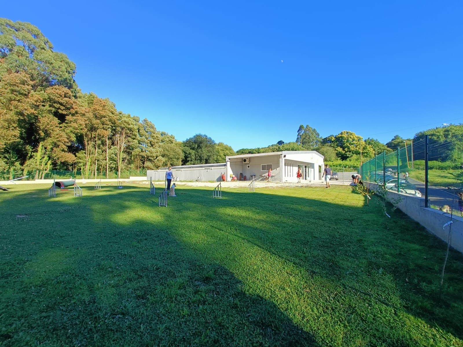 Residencia canina en Ferrol